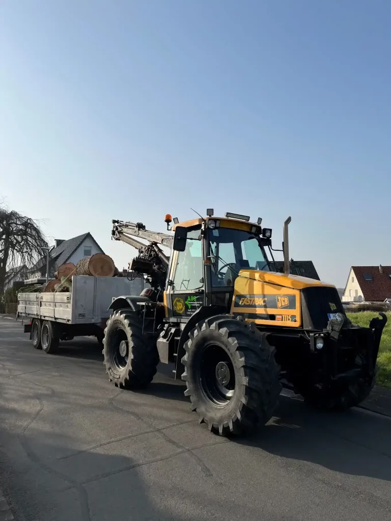 Baumfällungen und Abtransport mit Traktor der BG Dienstleistungen