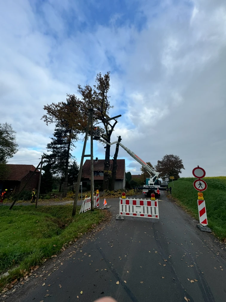 Baumfällung-und-Kronenpflege-durch-BG-Dienstleistungen