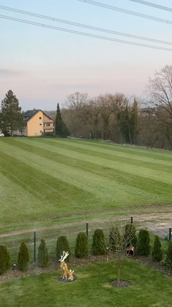 Wiesenpflege-mit-BG-Dienstleistungen